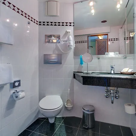 Zum Schwan 3* Oschatz