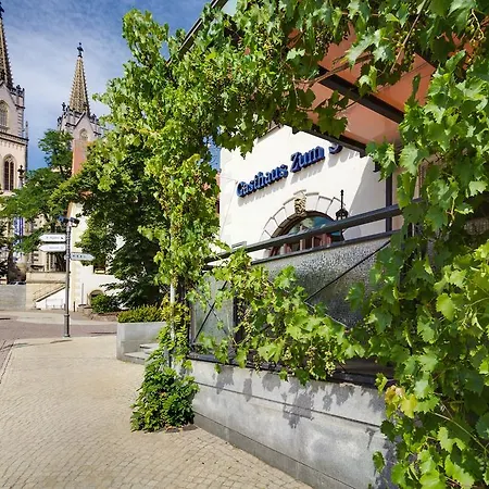 Zum Schwan Hotel 3*