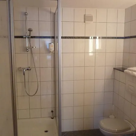 Hotel Zum Schwan Oschatz