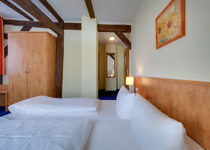 Hotel Zum Schwan 3*