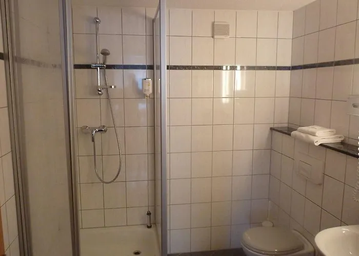 Hotel Zum Schwan Oschatz